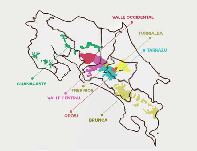 Costa Rica’s Coffee Growing Regions