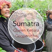 best sumatra coffee